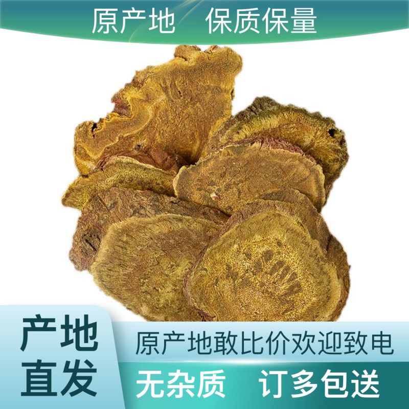 土大黄