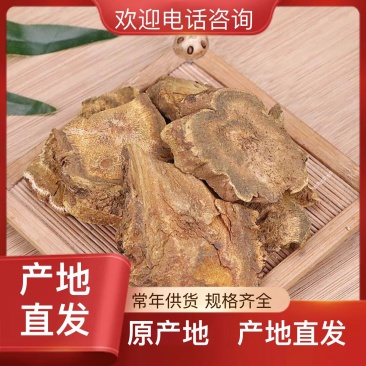 土大黄