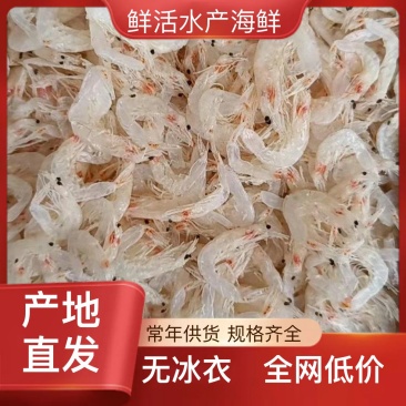 淡干虾皮，大虾皮，规格齐全，价优大量批发