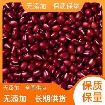 红豆