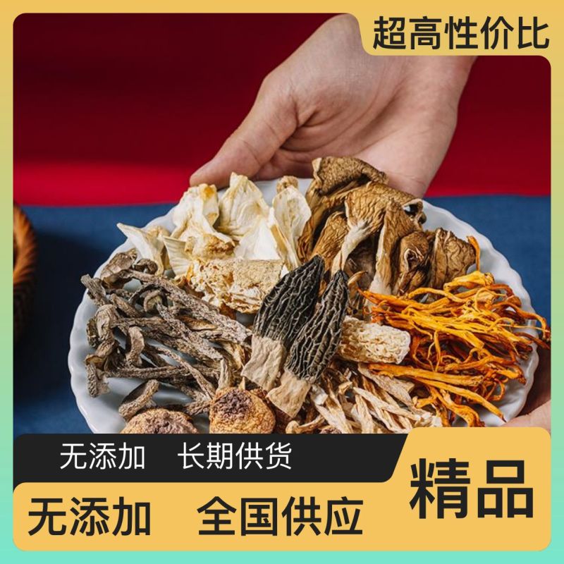 云南可食用干菌子