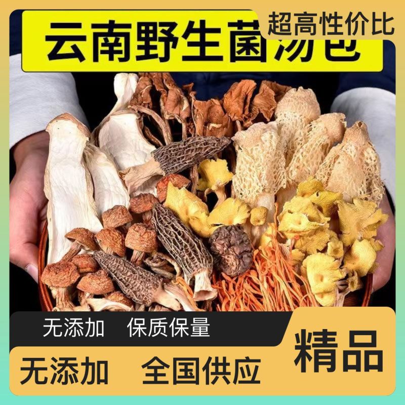 云南可食用干菌子