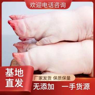 猪蹄