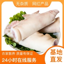 全国供应猪脊骨正品保障接单秒发