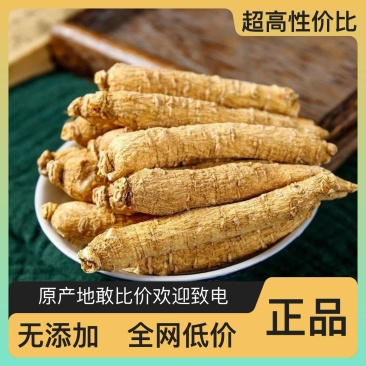 人参