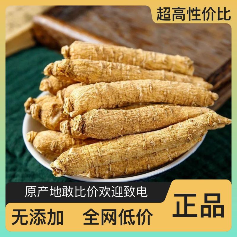 人参