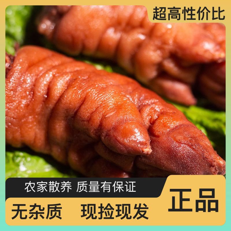 订多包送猪脊骨营养丰富长期供应