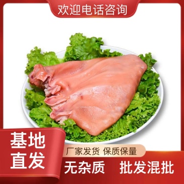 餐饮家用正品保障猪脊骨量大可议