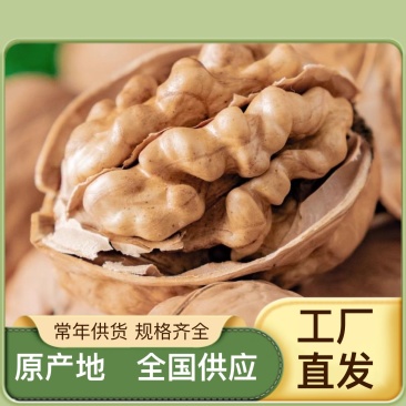 薄皮核桃185纸皮核桃今年新货厂家发货可供电商平台一件代发