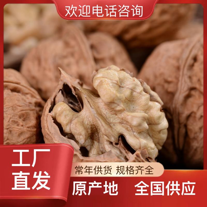 薄皮核桃185纸皮核桃今年新货厂家发货可供电商平台一件代发