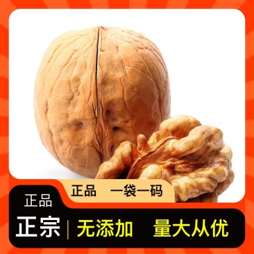 批发包邮核桃无杂质欢迎电话咨询