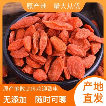 新鲜枸杞产地直发营养丰富现货秒发健康之选