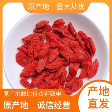 枸杞精品长期供应量大从优