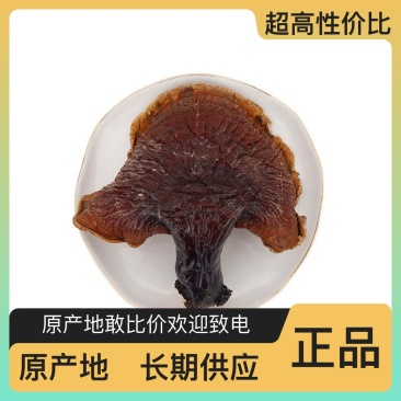 灵芝