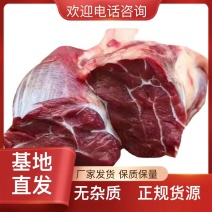 牛腿肉，鲜牛肉，纯干无水牛肉