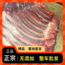 营养丰富牛排骨长期供应诚信经营欢迎电话咨询