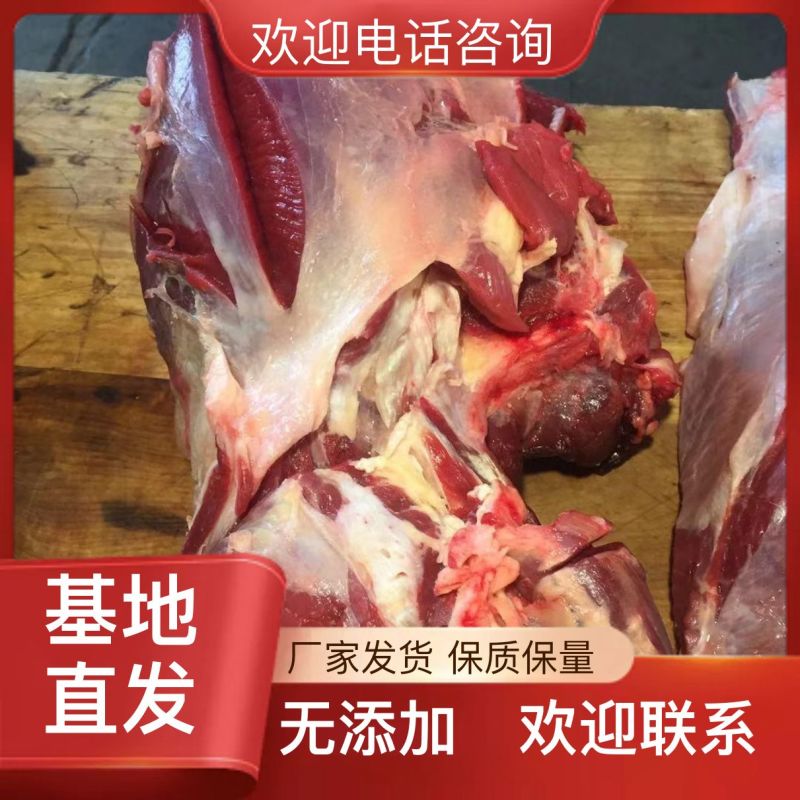 优质牛肉无杂质整箱批发支持拿样