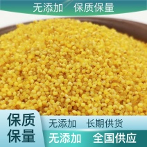 敖汉小米加工厂，厂家直销，各种规格都有🈶，支持一件代发