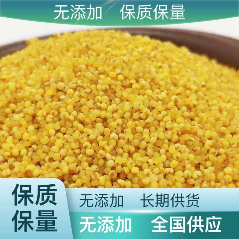 内蒙古敖汉小米货源充足新米，