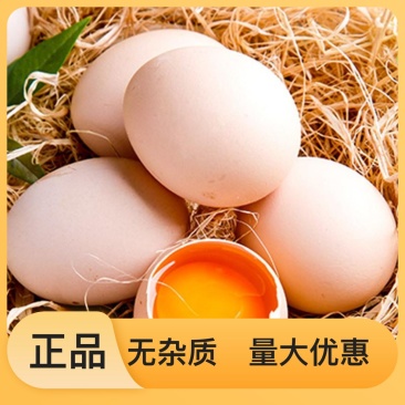 精品鸡蛋农家散养全国物流包邮