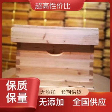 蜜蜂