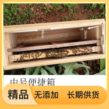 蜜蜂