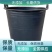 帝王级蜂蜜五倍花蜜百花蜜