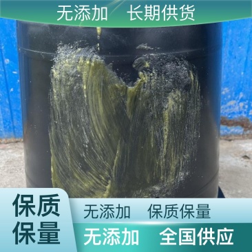 蜜蜂