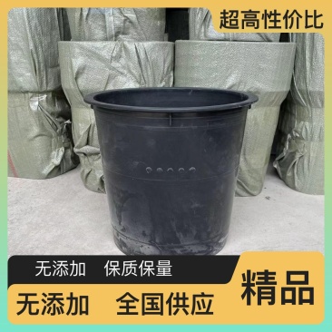 蜜蜂