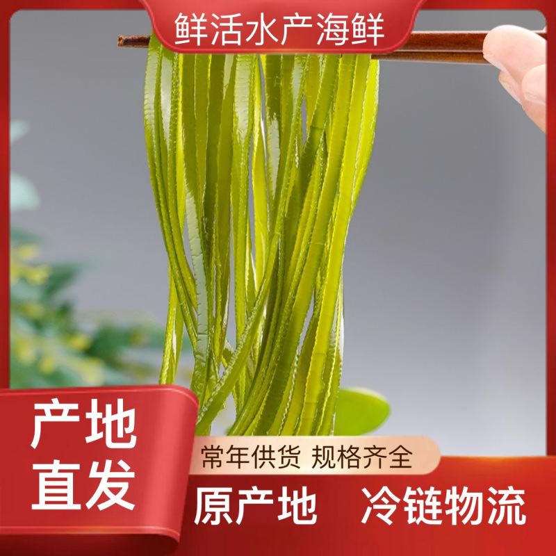 规格齐全海带现货秒发支持拿样