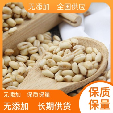 小麦