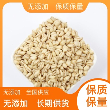 石家庄市元氏县出售小麦，品质好，容重高，饱满，需采夠商