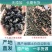 品质枸杞全国供应质量无杂质货源充足