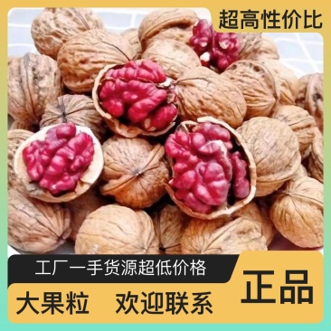 密封包装核桃长期供应批发包邮