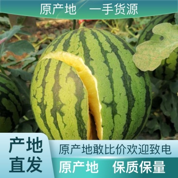 全网优质货源西瓜现货秒发