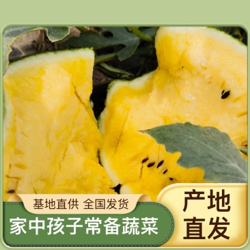 美都麒麟无籽秋西瓜
