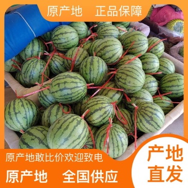 自家基地西瓜长期供应