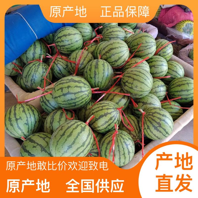 自家基地西瓜长期供应