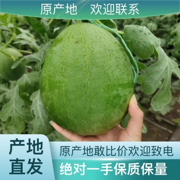 营养多汁西瓜全国包邮