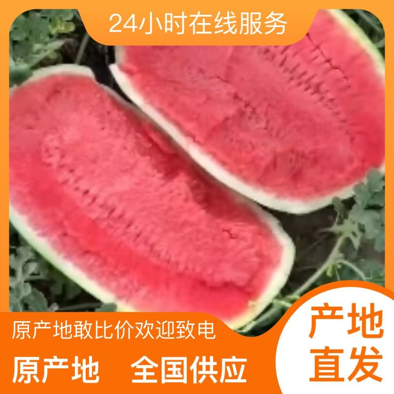 西瓜货源充足量大优惠