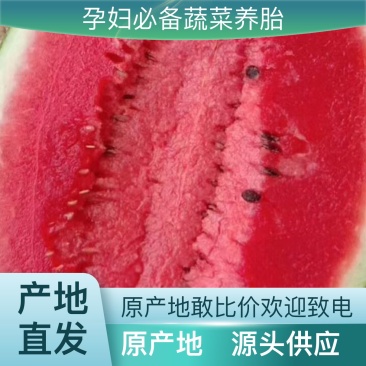 西瓜规格齐全量大从优
