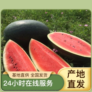 原产地西瓜正品保障