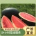 原产地西瓜正品保障