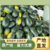 西瓜应季长期供货量大优惠宁夏香山石头瓜