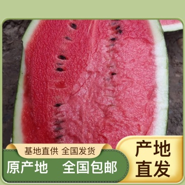 正品保障西瓜价格美丽