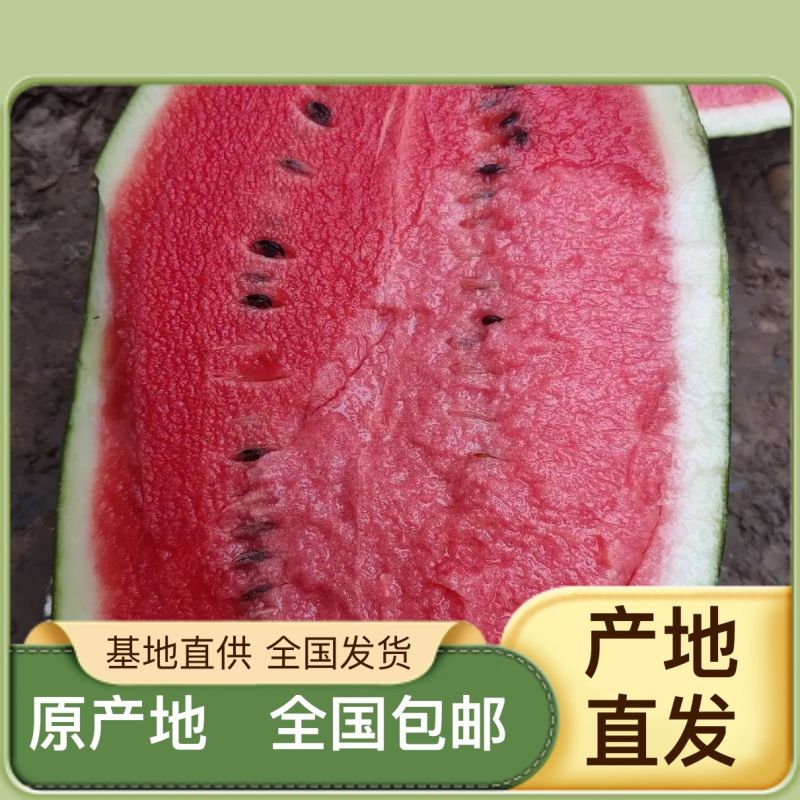 正品保障西瓜价格美丽