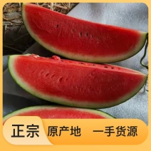 西瓜规格齐全，正大农场海涂西瓜西瓜