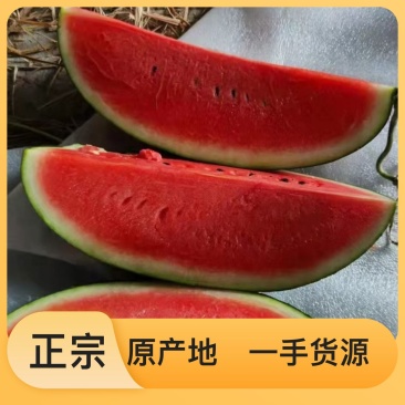 西瓜规格齐全，正大农场海涂西瓜西瓜