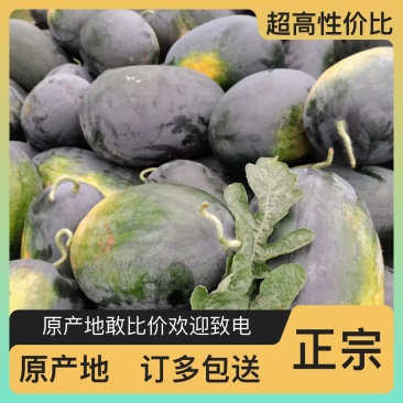 西瓜源头供应随时有货