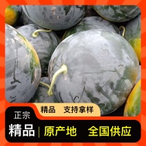 西瓜全网低价长期供应